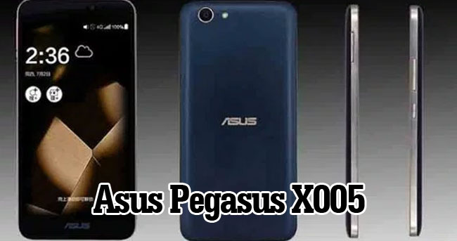 Asus Pegasus X005 özellikler ve fotoğrafları internete sızdı