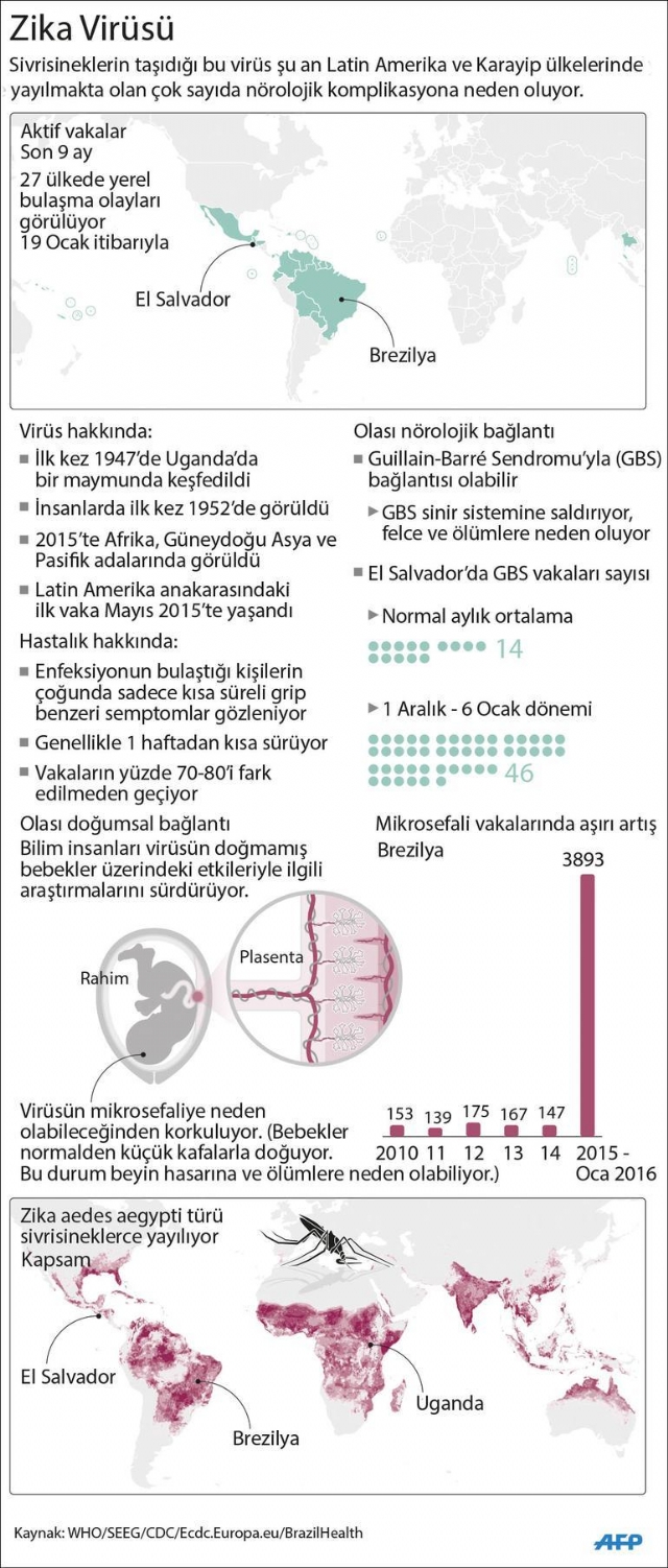 dunyayi-sarsan-zika-virusu-nedir-nasil-bulasir-8106139_2789_m