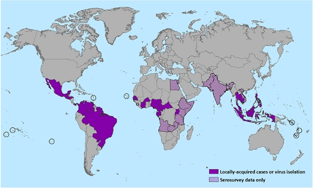 dunyayi-sarsan-zika-virusu-nedir-nasil-bulasir-8106139_5672_m