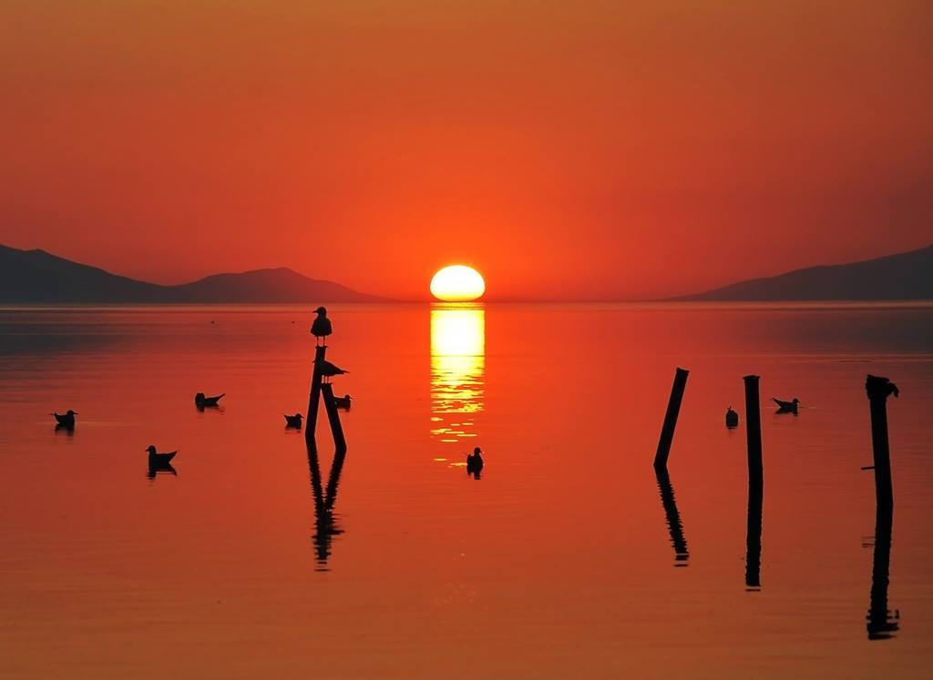 Fotoğraf: Metin Emre